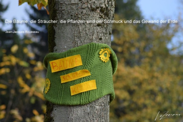 naturschutz - baum