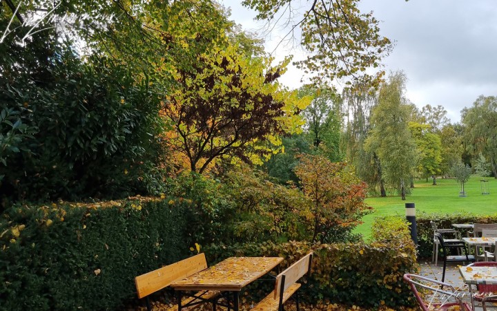 verlassene tische, herbstblätter, herbstbäume