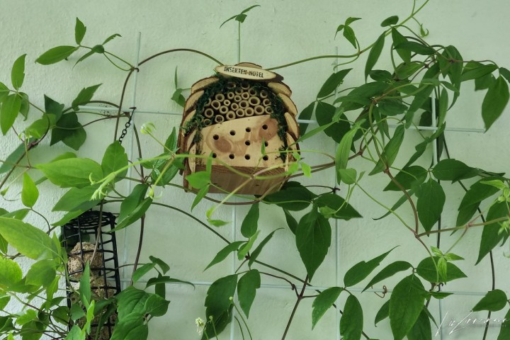 insektenhotel