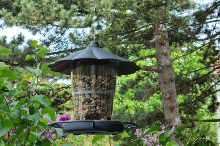 vogelhaus